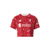 ADIDAS PERFORMANCE Dres FC Liverpool 26/27 rdeča/bela