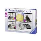 Ravensburger Puzzle Znatiželjni macici, 1000 delova
