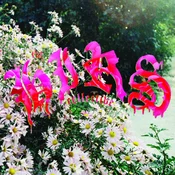 +HIRS+ - Were Still Here (White Coloured) (LP)