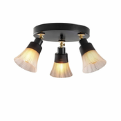OPVIQ Foca N 121 Crni luster