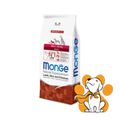 Monge Mini