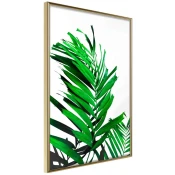 Poster - Emerald Palm 20x30