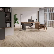 COLISEUM AVORIO INOUT 60x120
