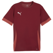 Dres Puma teamGOAL Matchday Jersey