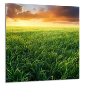 shumee STEKLENA PLOŠČA ZA KUHINJO 60x65