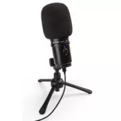 ZOOM ZUM-2 | Dynamic Large Diaphragm Usb Microphone