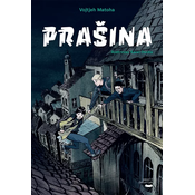 Prašina