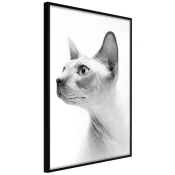 Poster - Sphinx 30x45