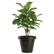 shumee Cvetlični lonec Srtia Riflo mocha h40x46 cm