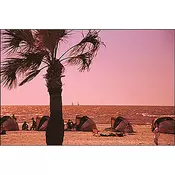 COKIN A161 Polacolor bordo filter A mera COA161