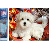 Norimpex - Puzzle Diamantna slika: Beli kužek 30x40cm - 1 - 39 kosov