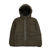 Jack & Jones Junior Zimska jakna JCOSPEED svetlo siva/zelena