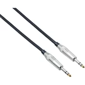 Bespeco XCS100