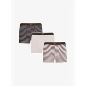 Penti Boksarice PENTI Herren Tone Boxershorts mit Streifen mešane barve