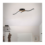 Briloner LED-stropna svetilka Go z 2 žarilkami, črna/lesni dekor z valovitimi vzorci - Dnevna soba / jedilnica - Sodobni - črna, svetlo lesena - Kovina