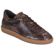 Bronx BOB-BIE 66594 Kostanjeva