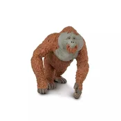 Safari Orangutan
