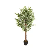 MID.YOU Umetna Rastlina Ficus