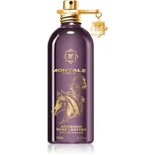Montale Arabians Rose Leather EDP 100ml
