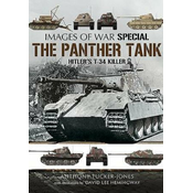 Panther Tank: Hitlers T-34 Killer