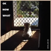 Go Get Mum - OK Now What (LP)