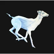 Cloud Cafe - Gift Horse (LP)