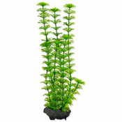 GB DEK.ZA AKVARIJ AMBULIA 30CM