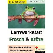 Lernwerkstatt Frosch & Kröte