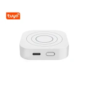 BOT Pametni senzor gibanja WiFi WMR1