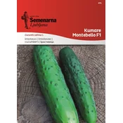 Seme kumare Montebello F1