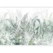 artgeist Fototapeta Magic Grove, 150x105cm