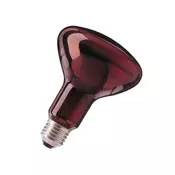 Philips - r95 100w e27 rdeca ir healthcare
