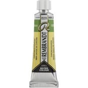 Rembrandt Professional Watercolour Paint 10 ml Chromium Oxide Green