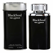 BLACK SOUL edt spray 100 ml