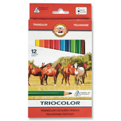 Koh-i-Noor Trikotne barvice Triocolor 12 kosov