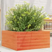 Vrtna sadilica voštano smeda 50 x 50 x 23 cm masivna borovina