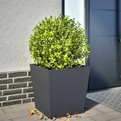 Vrtna sadilica antracit 50 x 50 x 50 cm celicna