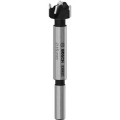Bosch Expert Glodalo za laminisano drvo 2608901846, 16 mm
