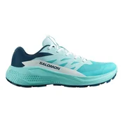 Salomon Alphaglide