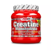 Amix creatine monohydrate (300g)