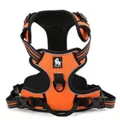 Truelove Oprsnica OUTDOOR – ORANŽNA XS