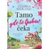 Tamo gde te ljubav ceka