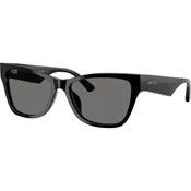 Jimmy Choo Naocare za sunce JC 5024HU 500081