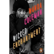 Wicked Enchantment