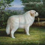 Douglas McCombs - VMAK<KOMBZ<<<DUGLAS<<6NDR7<<< (Limited Edition) (LP)