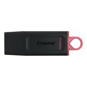 Kingston usb flash DTX/256GB ( KIN080 )