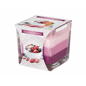 eoshop Sveča v kozarcu MAVRICA ZAMRZNJENO SADJE dišeče 170g