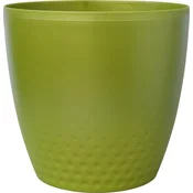 Plastia Embalaža Perla - zeleni biser 11 cm