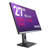 WORTMANN TERRA LCD/LED 2772W PV, 27” (68.6 cm)
