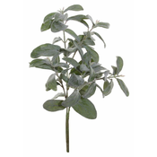 Shishi Vejica lagotisa srebrna 35 cm
